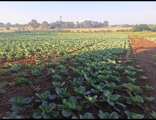 FARM FOR SALE IN SHERMAN PARK